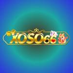 Xoso66 Casino Profile Picture